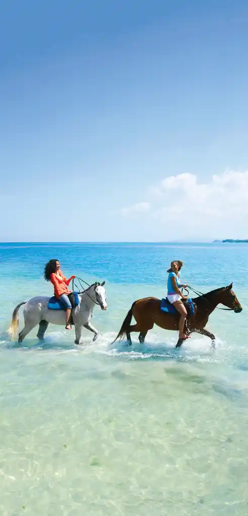 Horse Riding In Beach